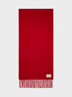 Bela Cashmere Scarf - Image 1
