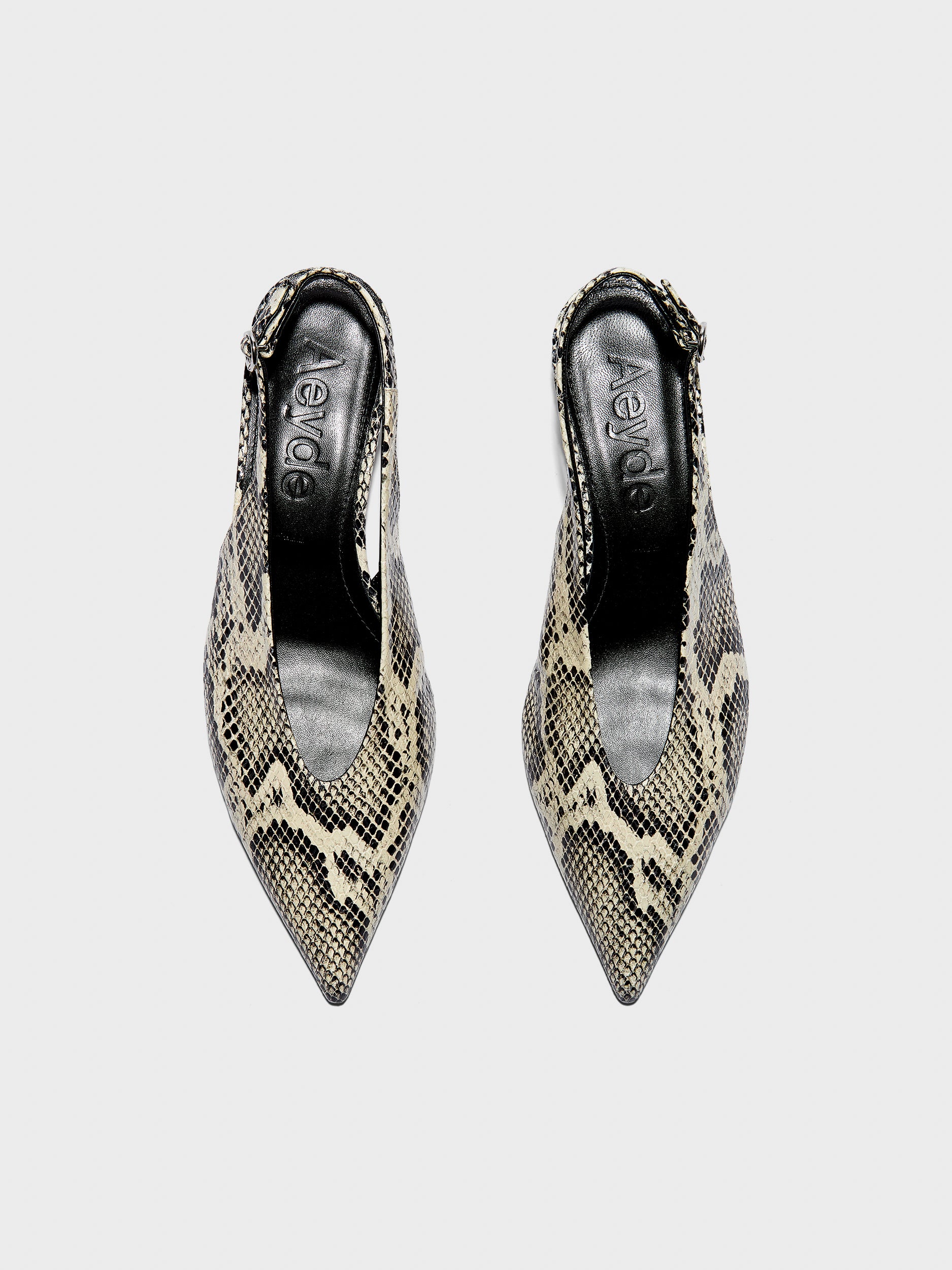 Camila Snake Print Pumps - Image 5