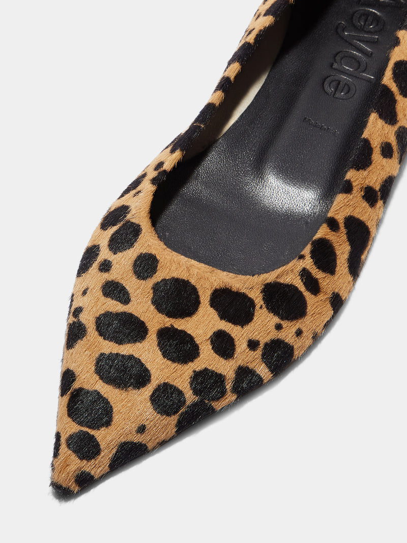 Cassy Leopard Ballet Flats