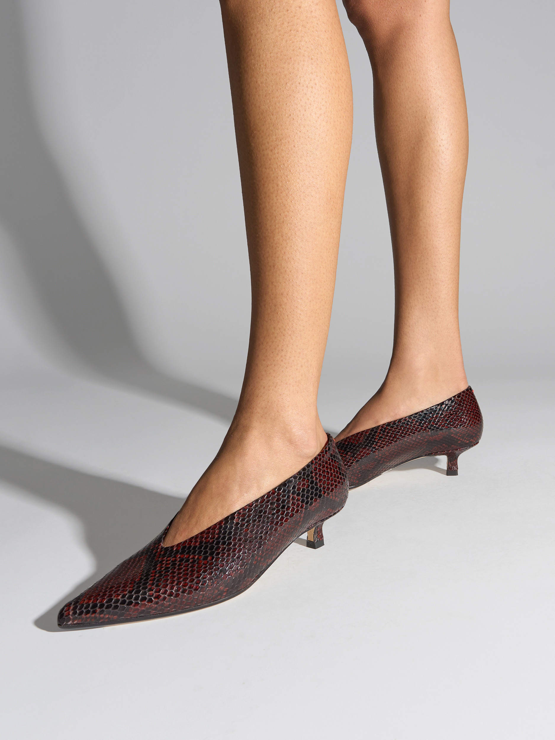Aeyde | Clara Pointed-Toe Pumps Leather Pumps for Women | Port Snake | Pointed Toe | Low Heel | On Feet
