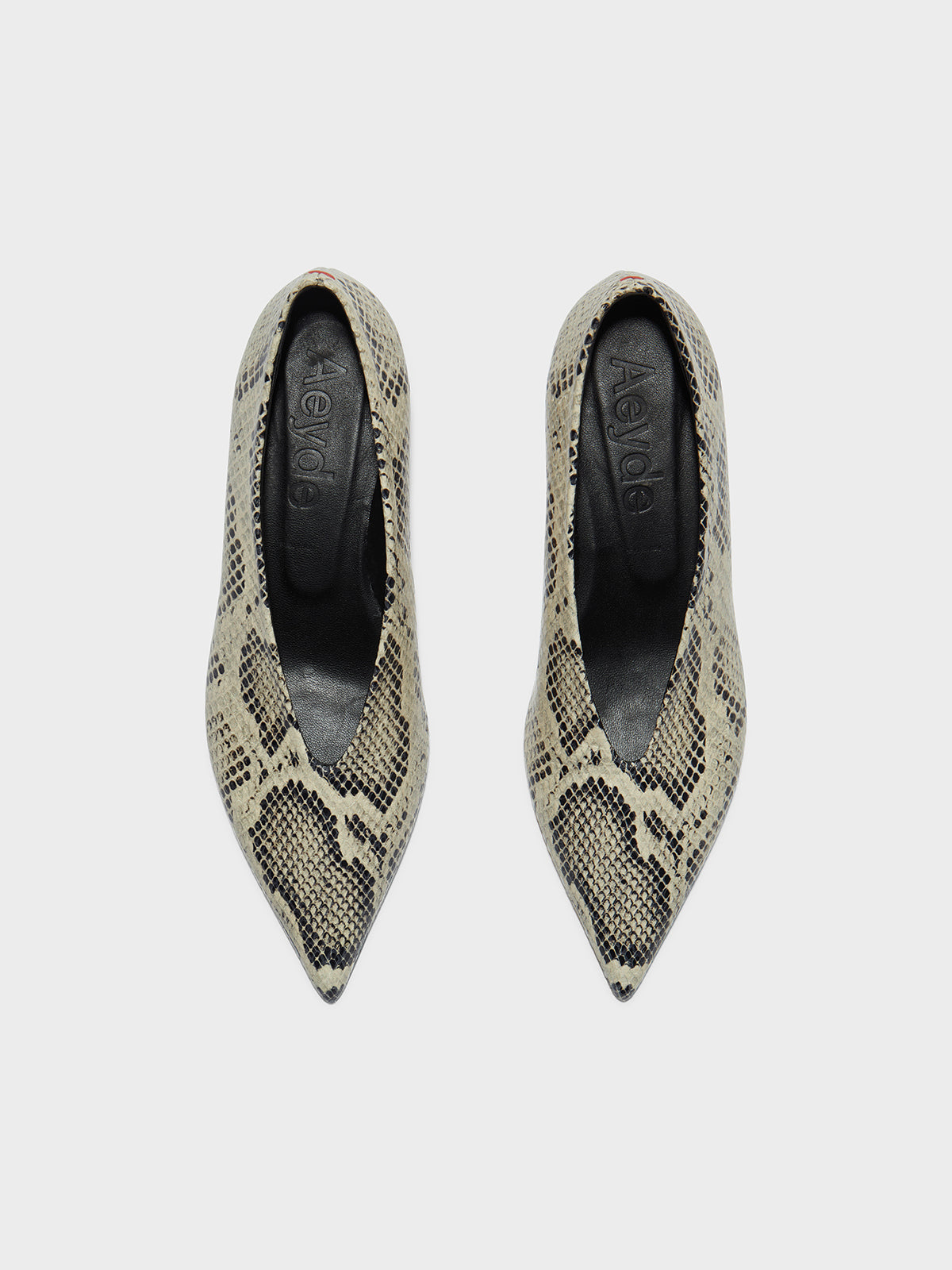 Clara Pointed-Toe Pumps - Image 5