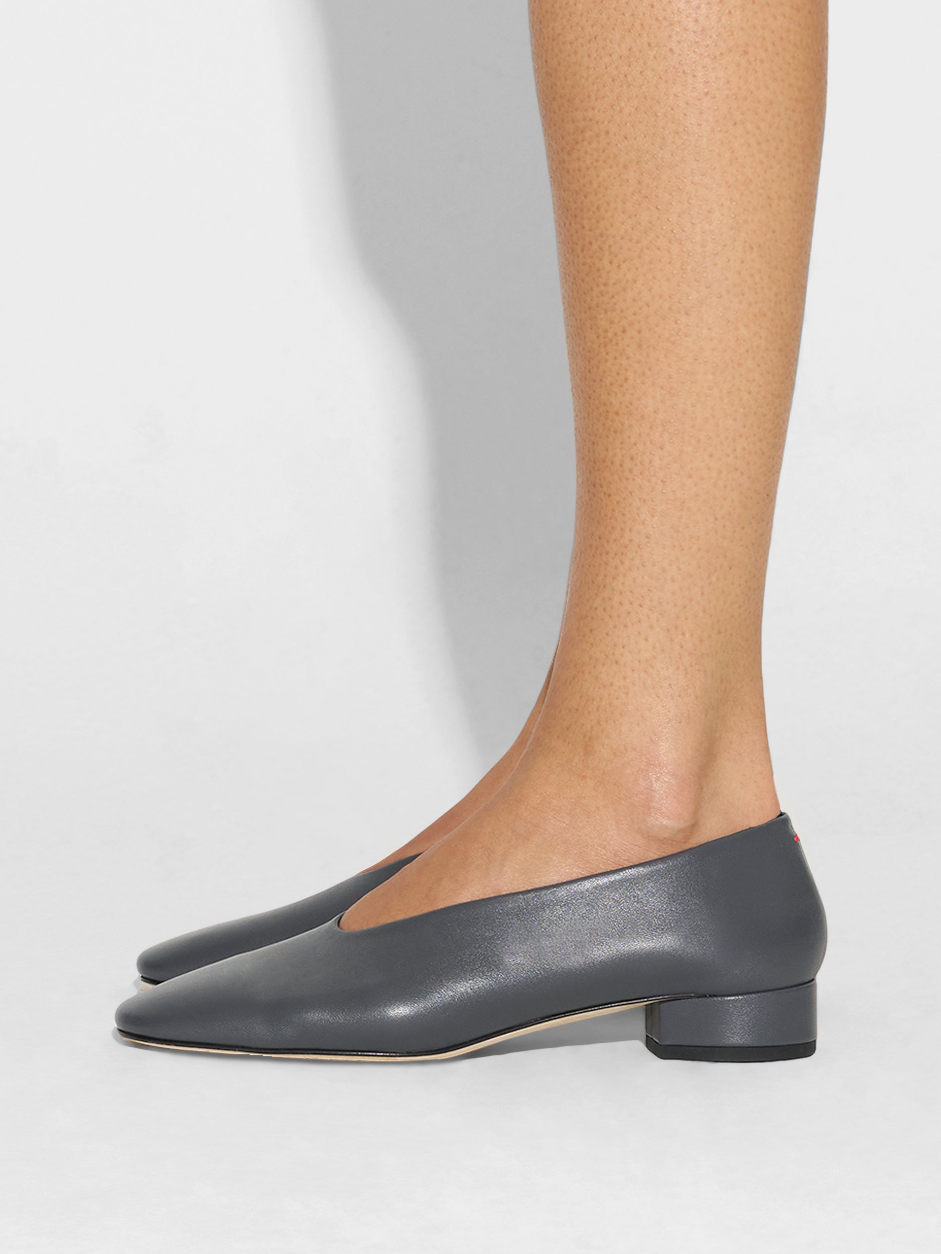 Delia Low-Heeled Ballet Pumps - Image 6