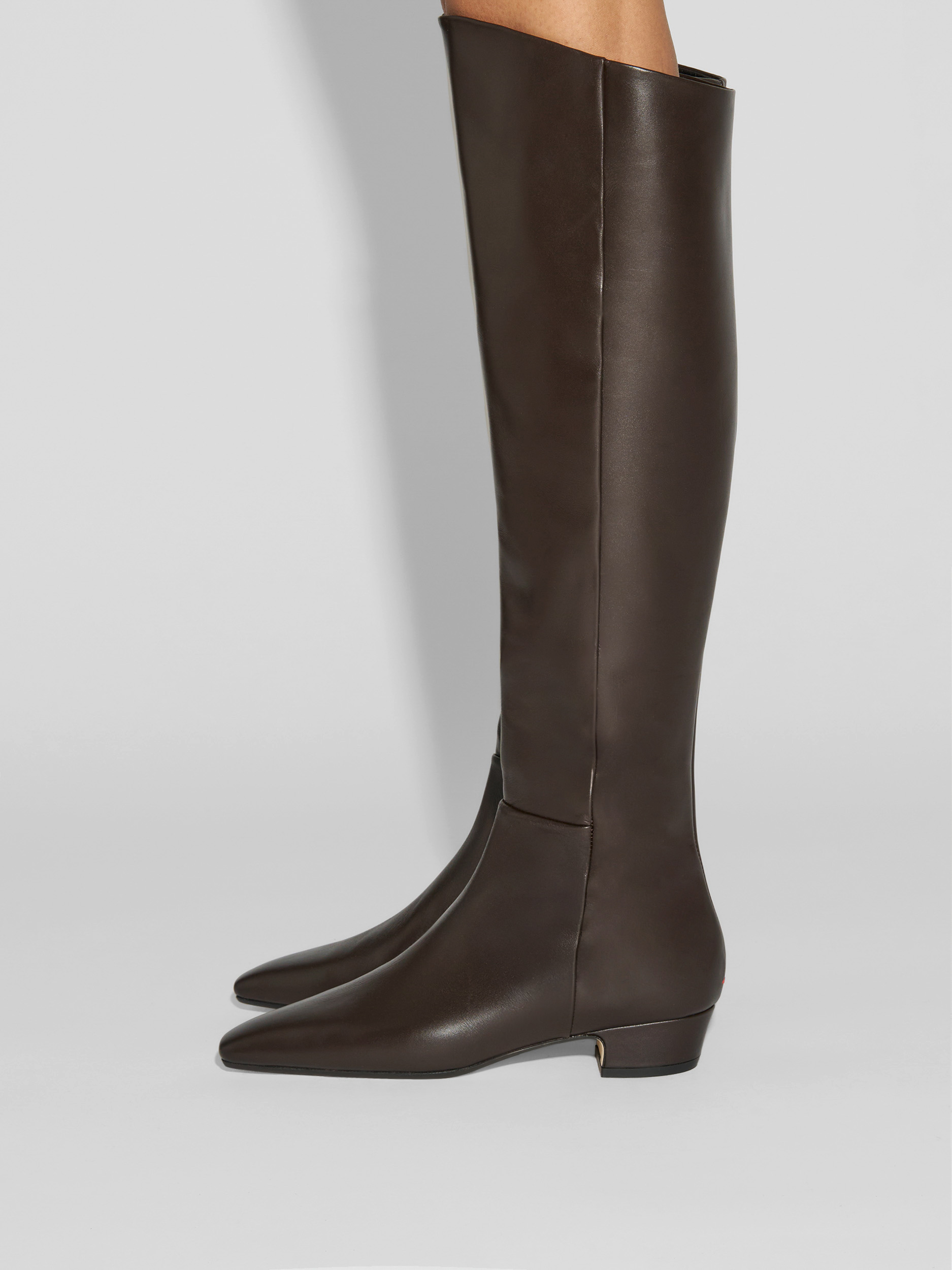Aeyde | Ilaria Knee-High Boots Leather Knee High Boots for Women | Moka Calf | Square Toe | Low Heel | How to Style