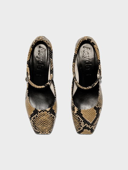 Aeyde | Lina Leather Pumps for Women | Hazelnut Snake | Square Toe | Low Heel | Front View