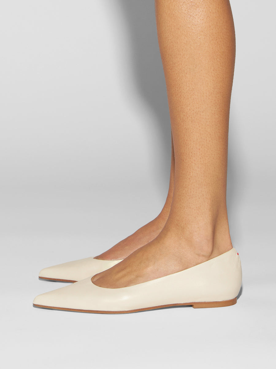 Cassy Pointed Ballet Flats