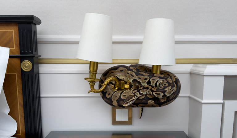 Description of the mobile image