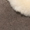 Delia Shearling Flats