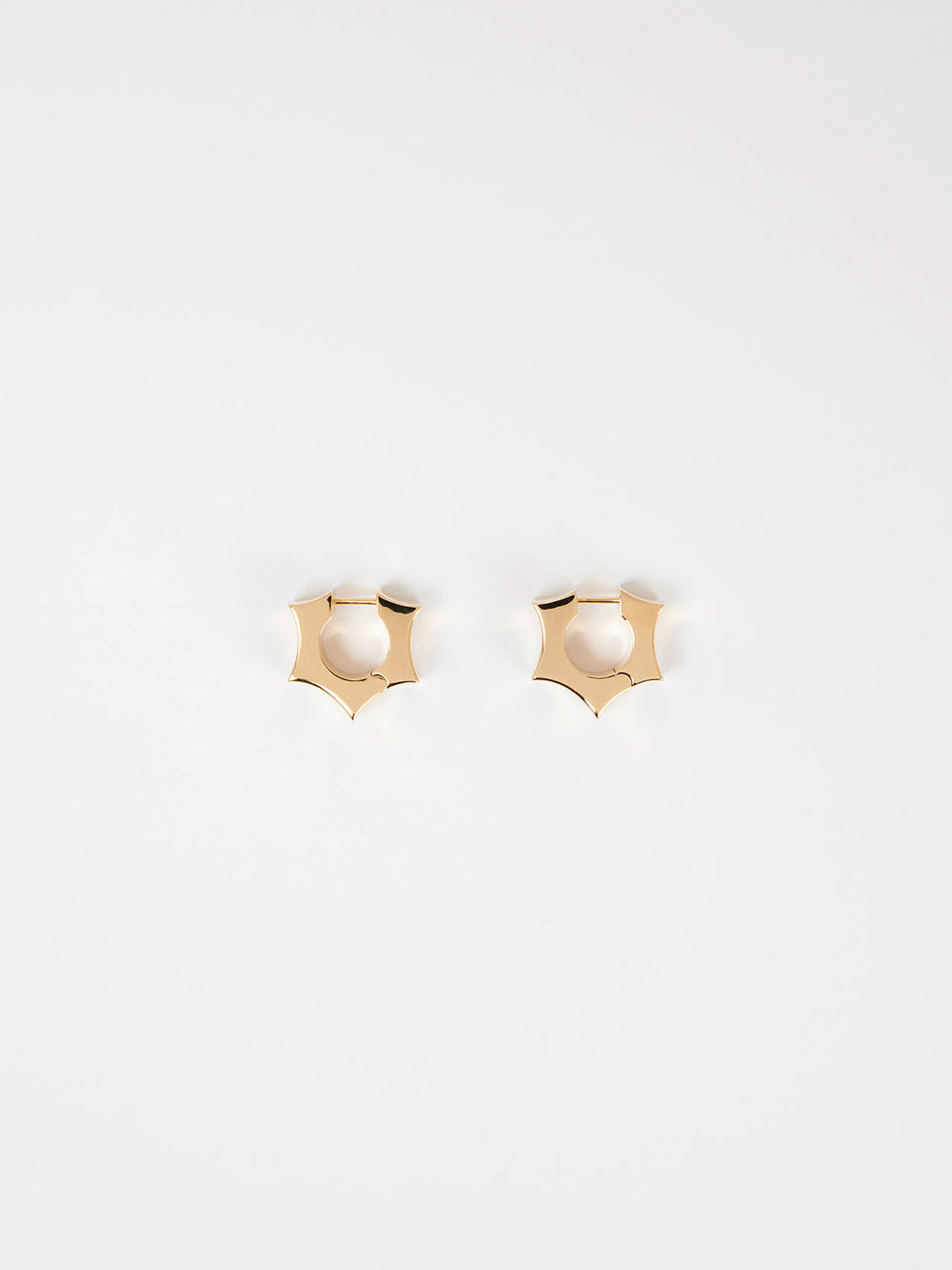 AY45E2G EARRINGS main image 1